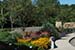 newly planted pollinator garden